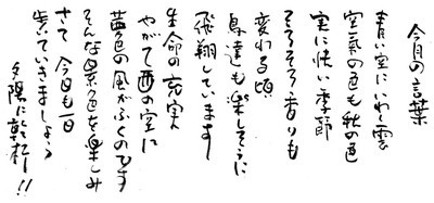 10̌t.jpg