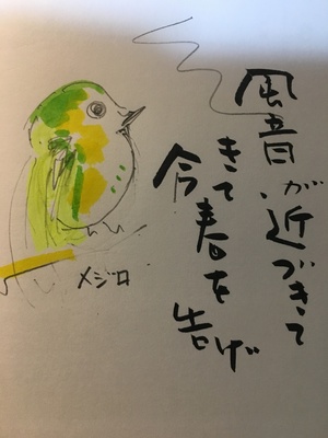 2018-02-28 19.15.51.jpg